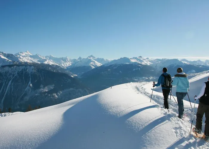 Terrasse Des Alpes 814 By Interhome * Vermala